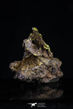 20471 - Top Beautiful Native Gold In Its Hydrothermal Quartz Matrix New Location Aouserd Occidental Sahara