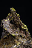 20471 - Top Beautiful Native Gold In Its Hydrothermal Quartz Matrix New Location Aouserd Occidental Sahara
