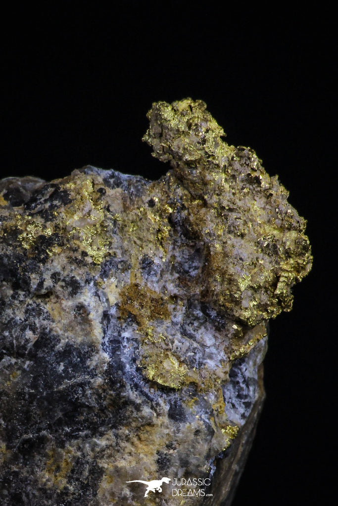 20473 - Top Beautiful Native Gold In Its Hydrothermal Quartz Matrix New Location Aouserd Occidental Sahara