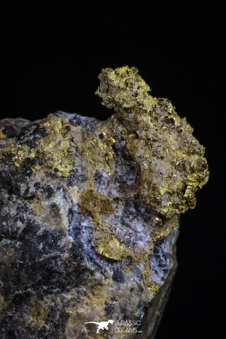 20473 - Top Beautiful Native Gold In Its Hydrothermal Quartz Matrix New Location Aouserd Occidental Sahara