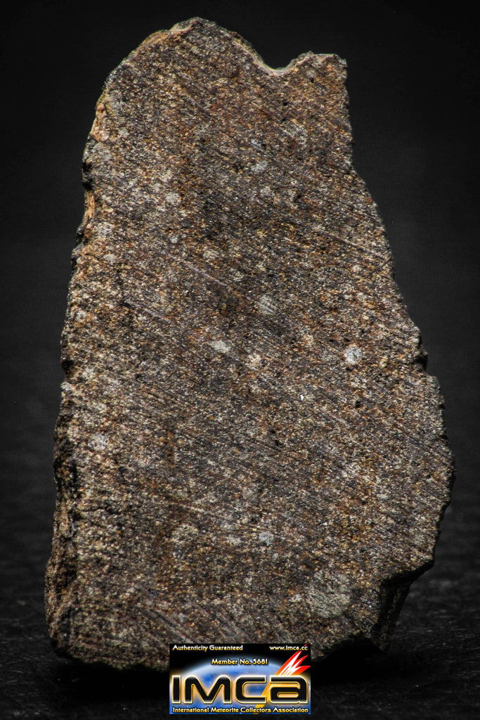 00012 - Nice 16.6g NWA Unclassified Carbonaceous Chondrite Polished Section