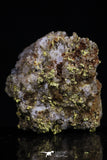 20474 - Top Beautiful Native Gold In Its Hydrothermal Quartz Matrix New Location Aouserd Occidental Sahara