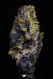 20475 - Top Beautiful Native Gold In Its Hydrothermal Quartz Matrix New Location Aouserd Occidental Sahara