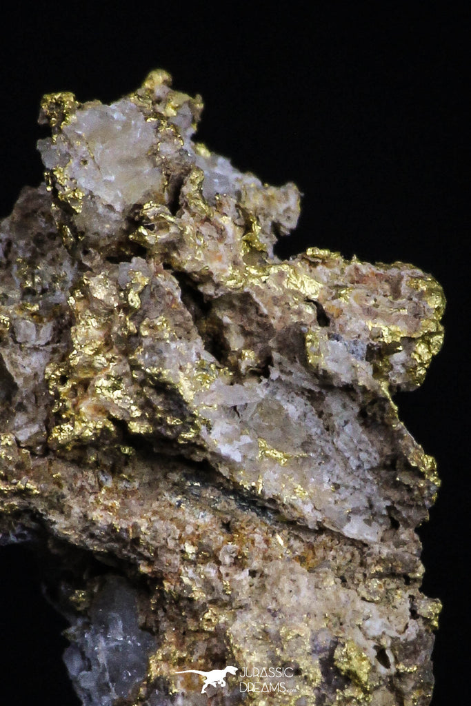 20476 - Top Beautiful Native Gold In Its Hydrothermal Quartz Matrix New Location Aouserd Occidental Sahara