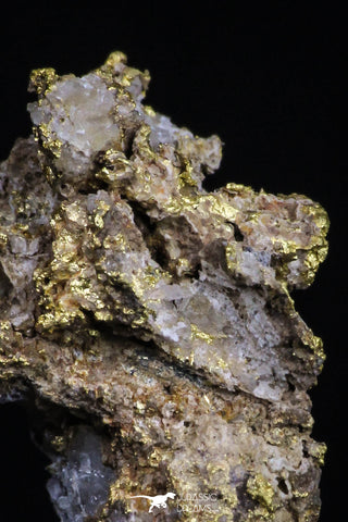 20476 - Top Beautiful Native Gold In Its Hydrothermal Quartz Matrix New Location Aouserd Occidental Sahara
