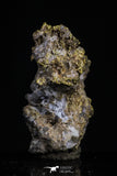 20476 - Top Beautiful Native Gold In Its Hydrothermal Quartz Matrix New Location Aouserd Occidental Sahara