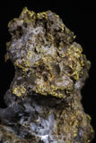 20476 - Top Beautiful Native Gold In Its Hydrothermal Quartz Matrix New Location Aouserd Occidental Sahara