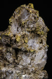 20476 - Top Beautiful Native Gold In Its Hydrothermal Quartz Matrix New Location Aouserd Occidental Sahara