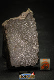 21459 - NWA Unclassified Chondrite H Meteorite 76.3g Polished Section