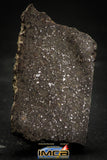 21459 - NWA Unclassified Chondrite H Meteorite 76.3g Polished Section