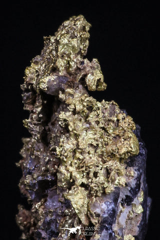 20477 - Top Beautiful Native Gold In Its Hydrothermal Quartz Matrix New Location Aouserd Occidental Sahara