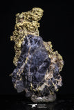 20477 - Top Beautiful Native Gold In Its Hydrothermal Quartz Matrix New Location Aouserd Occidental Sahara