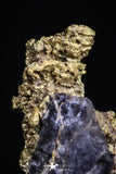20477 - Top Beautiful Native Gold In Its Hydrothermal Quartz Matrix New Location Aouserd Occidental Sahara