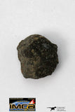 22287 - Rare NWA Unclassified Carbonaceous Chondrite Type CM 0.332g
