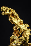 20480 - Top Beautiful Native Gold New Location Aouserd Occidental Sahara