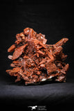 21572 - Top Huge 6.69 Inch Natural Red Iron-Oxide Coated Quartz Crystals Cluster Red Iron-Oxide Coated Quartz Crystals Cluster