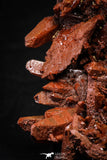 21572 - Top Huge 6.69 Inch Natural Red Iron-Oxide Coated Quartz Crystals Cluster Red Iron-Oxide Coated Quartz Crystals Cluster