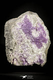 21674 - Museum Grade Purple Fluorite Crystals on Matrix Tounfit Fluorite Mine South Morocco