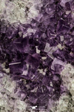 21674 - Museum Grade Purple Fluorite Crystals on Matrix Tounfit Fluorite Mine South Morocco