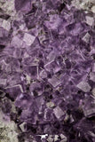 21674 - Museum Grade Purple Fluorite Crystals on Matrix Tounfit Fluorite Mine South Morocco