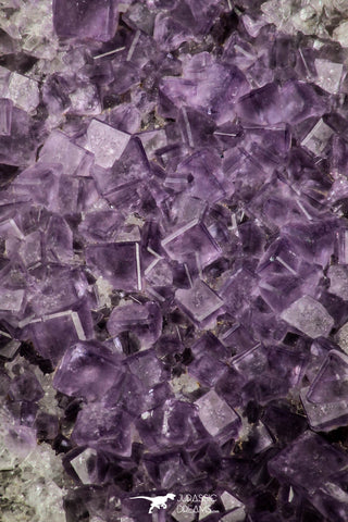21674 - Museum Grade Purple Fluorite Crystals on Matrix Tounfit Fluorite Mine South Morocco