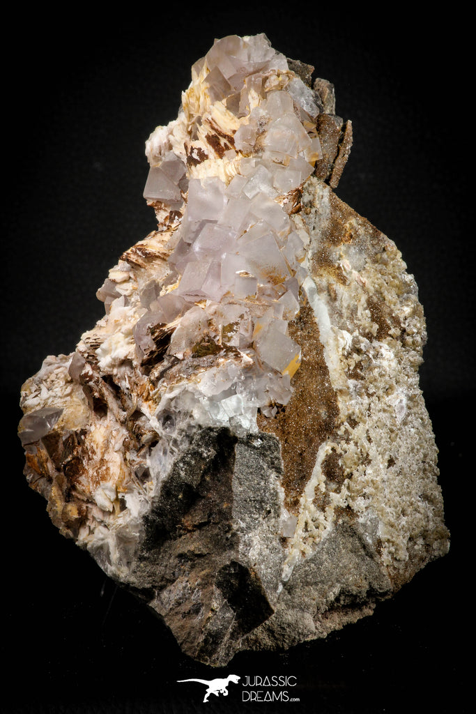 21675 - Museum Grade Perfect Fluorite Crystals on Matrix Hameda Fluorite Mine South Morocco