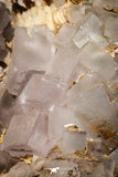 21675 - Museum Grade Perfect Fluorite Crystals on Matrix Hameda Fluorite Mine South Morocco