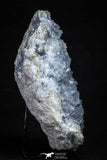 21574 - Superb Celestine Crystals Cluster Imilchil mine Morocco Celestine - 2716 g