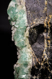 21676 - Top Rare Green Fluorite Crystals + Quartz on Matrix Hameda Fluorite Mine South Morocco