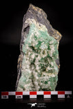 21676 - Top Rare Green Fluorite Crystals + Quartz on Matrix Hameda Fluorite Mine South Morocco