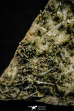 21576 - Museum Grade 8.27 Inch Quartz Crystals + Epidote in Matrix - Imilchil (Morocco)