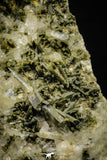 21576 - Museum Grade 8.27 Inch Quartz Crystals + Epidote in Matrix - Imilchil (Morocco)