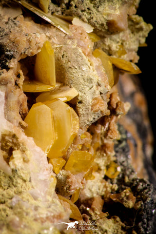 21677 - Top Rare Beautiful Yellow Wulfenite Crystal on Dolomite and Galena Morocco