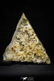 21576 - Museum Grade 8.27 Inch Quartz Crystals + Epidote in Matrix - Imilchil (Morocco)
