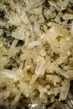 21576 - Museum Grade 8.27 Inch Quartz Crystals + Epidote in Matrix - Imilchil (Morocco)