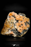 21678 - Top Beautiful Orange Barite and Cerussite over Galena Mibladen Morocco