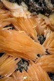 21678 - Top Beautiful Orange Barite and Cerussite over Galena Mibladen Morocco