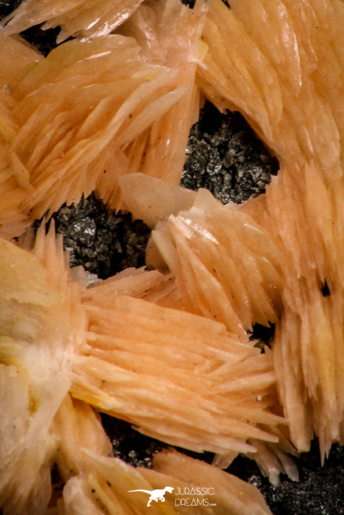 21678 - Top Beautiful Orange Barite and Cerussite over Galena Mibladen Morocco