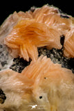 21678 - Top Beautiful Orange Barite and Cerussite over Galena Mibladen Morocco
