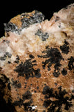 21678 - Top Beautiful Orange Barite and Cerussite over Galena Mibladen Morocco