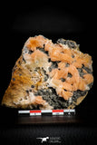 21678 - Top Beautiful Orange Barite and Cerussite over Galena Mibladen Morocco