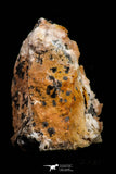 21678 - Top Beautiful Orange Barite and Cerussite over Galena Mibladen Morocco