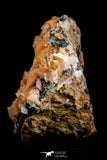 21678 - Top Beautiful Orange Barite and Cerussite over Galena Mibladen Morocco