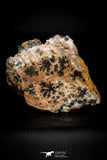 21678 - Top Beautiful Orange Barite and Cerussite over Galena Mibladen Morocco