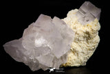 21679 - Finest Quality Fluorite Cubes On White Blanded Barite Morocco