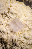 21679 - Finest Quality Fluorite Cubes On White Blanded Barite Morocco