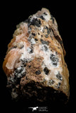 21681 - Top Beautiful Orange Barite and Cerussite over Galena Mibladen Morocco