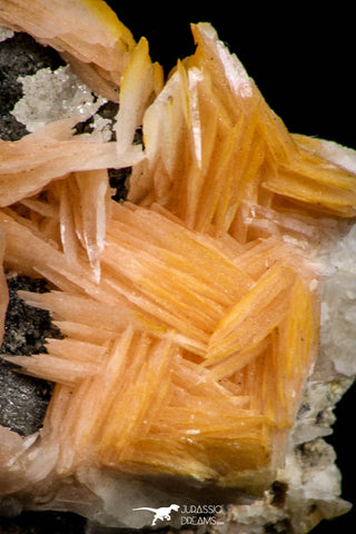 21682 - Top Beautiful Orange Barite and Cerussite over Galena Mibladen Morocco