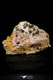 21682 - Top Beautiful Orange Barite and Cerussite over Galena Mibladen Morocco