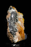 21682 - Top Beautiful Orange Barite and Cerussite over Galena Mibladen Morocco